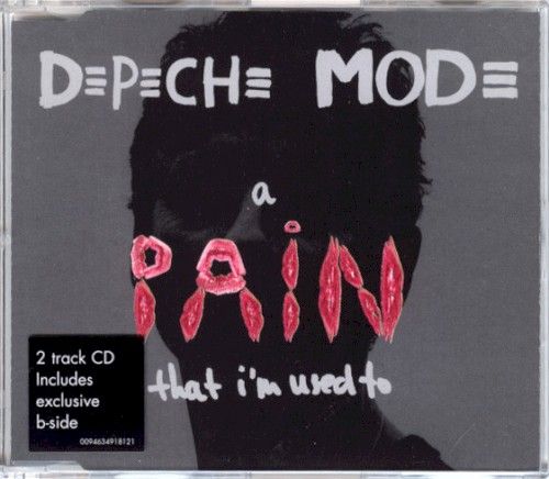 Pochette de A Pain That I'm Used To