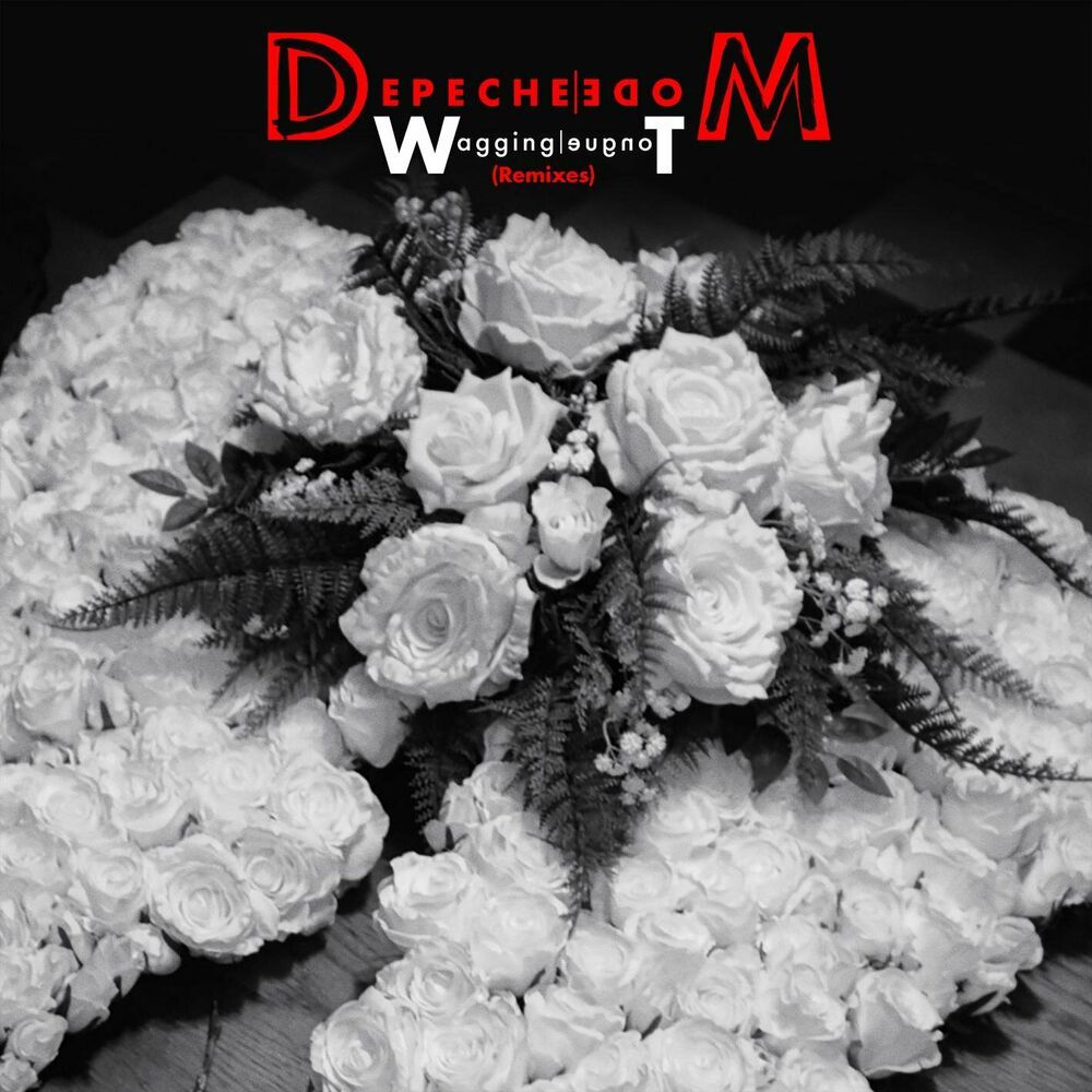 Pochette de Wagging Tongue