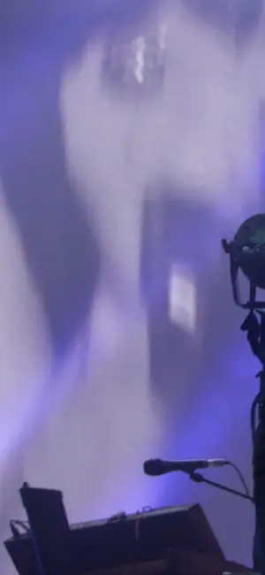 Dave Gahan sur scène, Festival des Vieilles Charrues, Carhaix