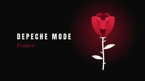 La rose · nuit