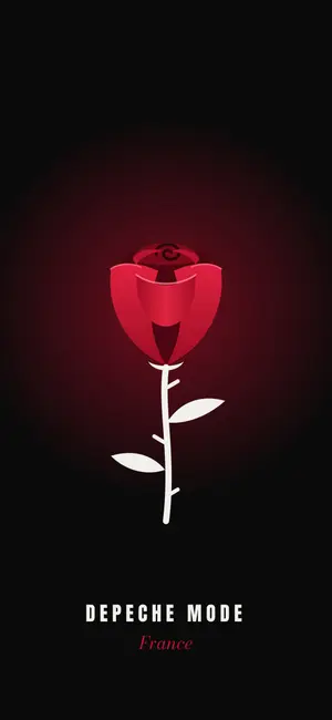 La rose · nuit