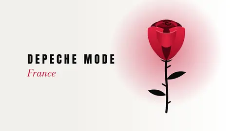 La rose · papier