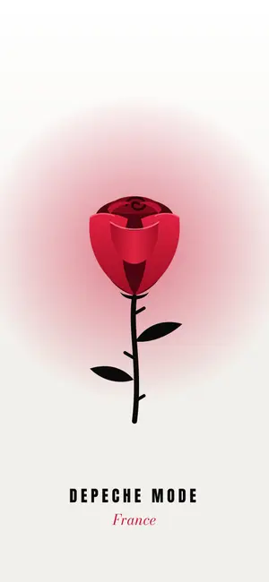 La rose · papier